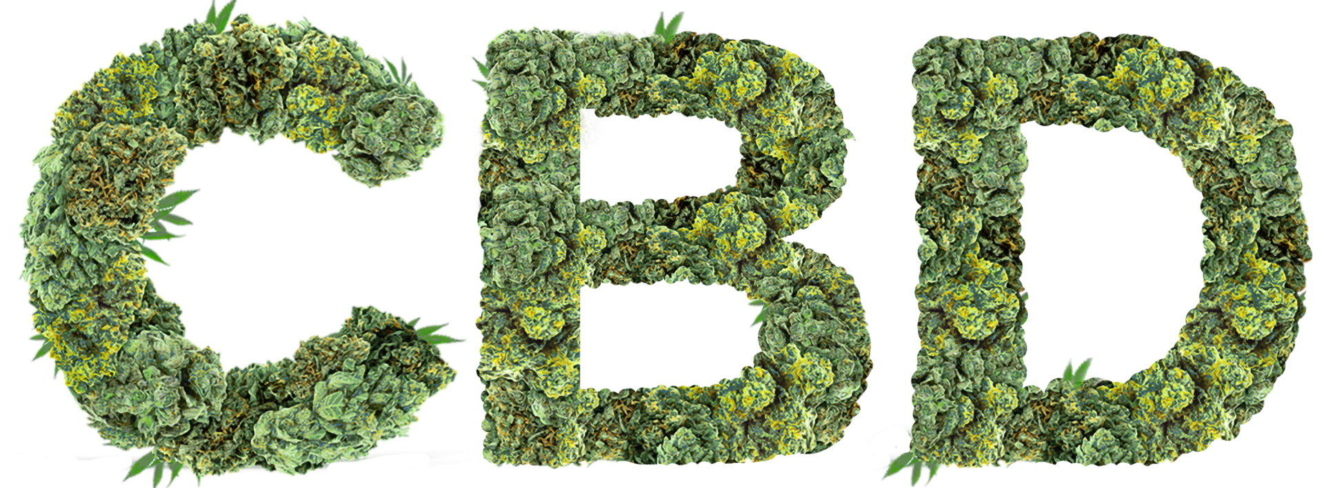 CBD Ikon Svenska CBD Ikon Svenska