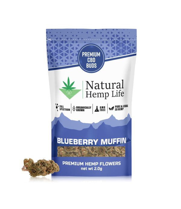 Blueberry Muffin – Natural Hemp Life